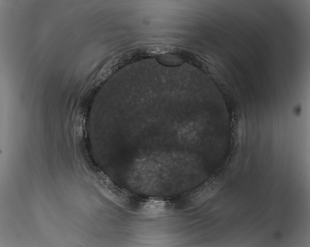 X0000114520227200911301123