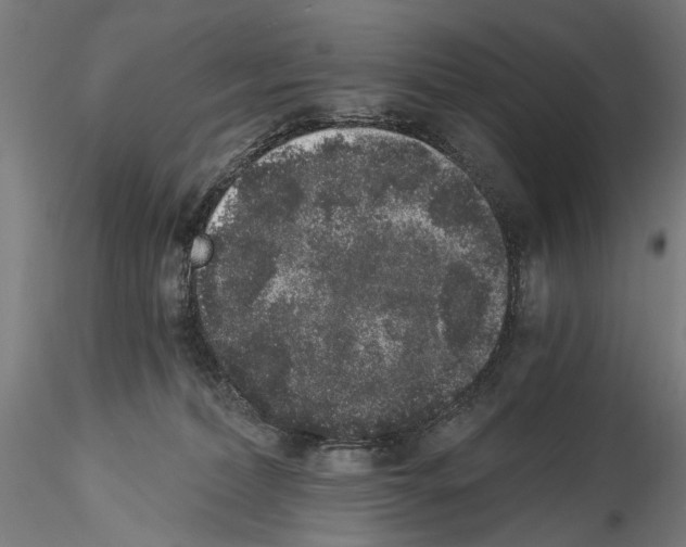 X0000114520228200911301123