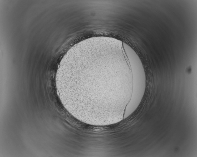 X0000114520229200911301123