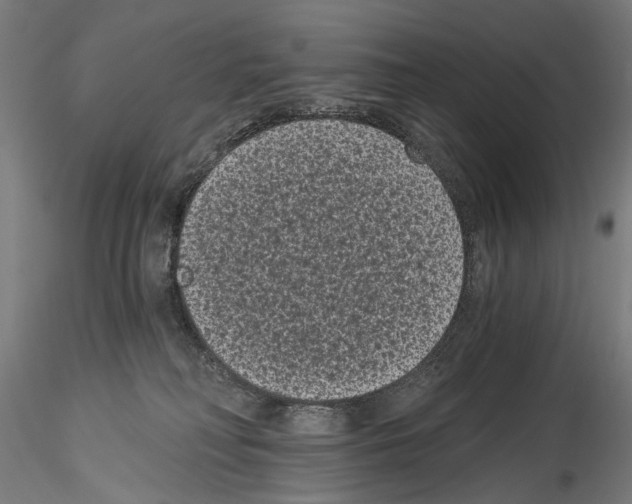 X0000114520230200911301123