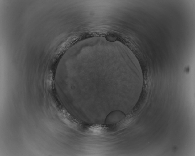 X0000114520231200911301123