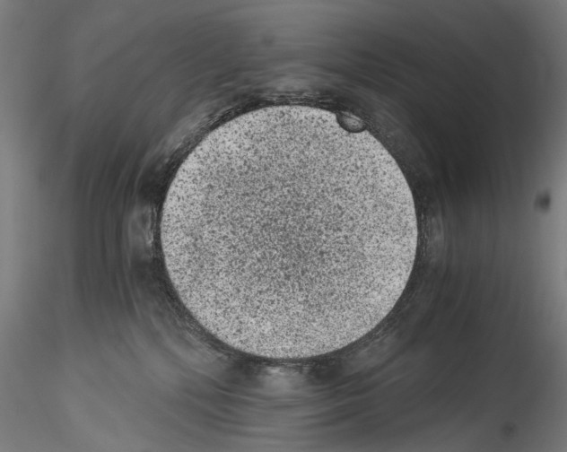 X0000114520232200911301123