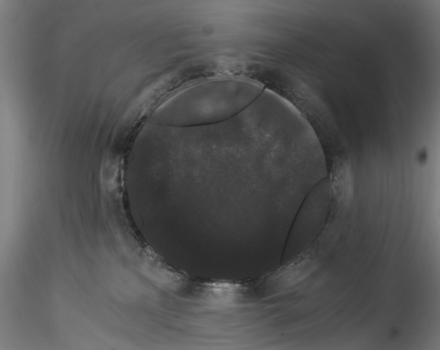 X0000114520233200911301123