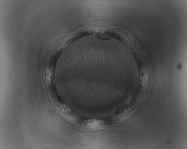 X0000114520235200911301123