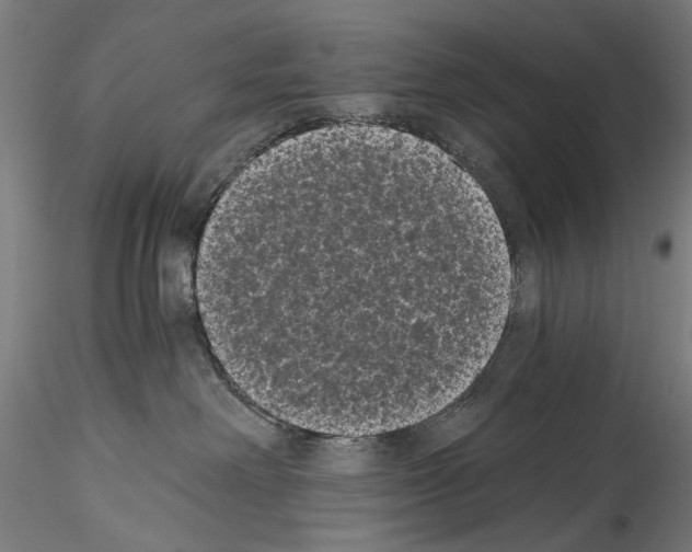 X0000114520238200911301123