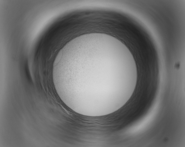 X0000114520239200911301123