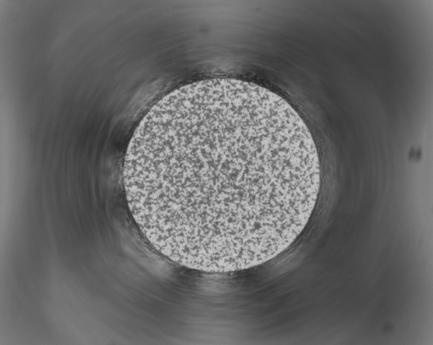 X0000114520240200911301123