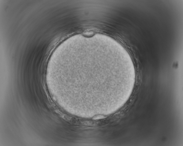 X0000114520241200911301122