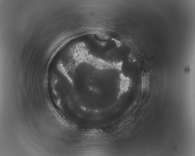 X0000114520243200911301122