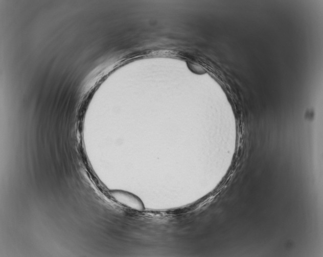 X0000114520245200911301122