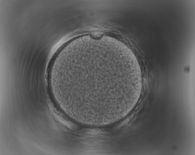 X0000114520246200911301122