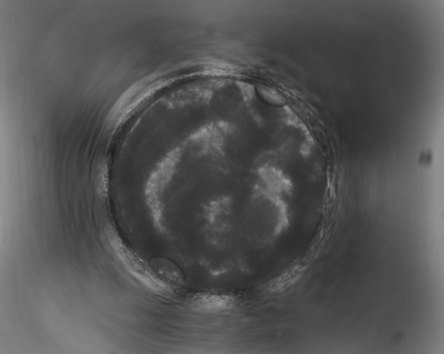 X0000114520247200911301123