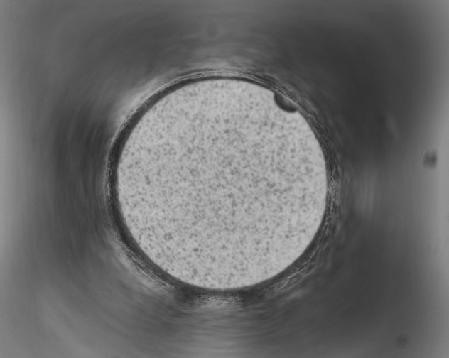 X0000114520248200911301123