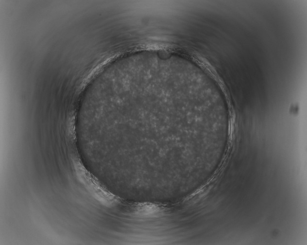 X0000114520249200911301123