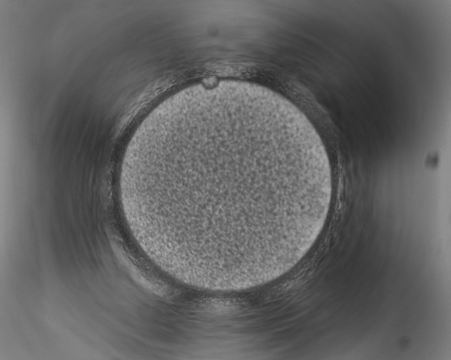 X0000114520250200911301123