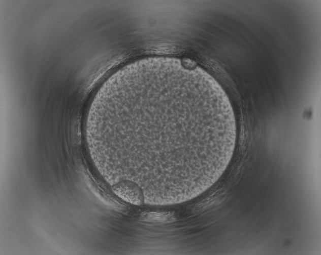 X0000114520251200911301123