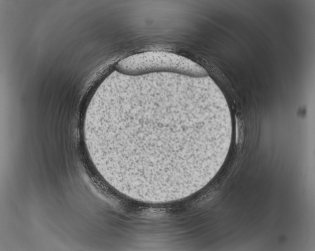 X0000114520252200911301123