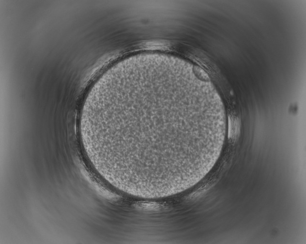 X0000114520253200911301123