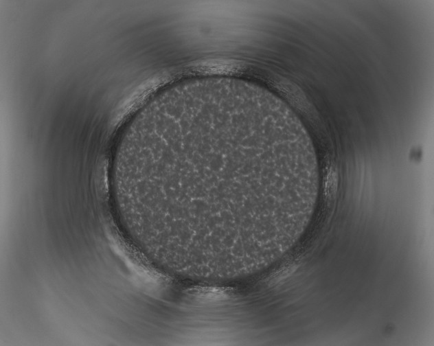 X0000114520254200911301123