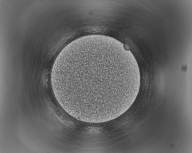 X0000114520255200911301123