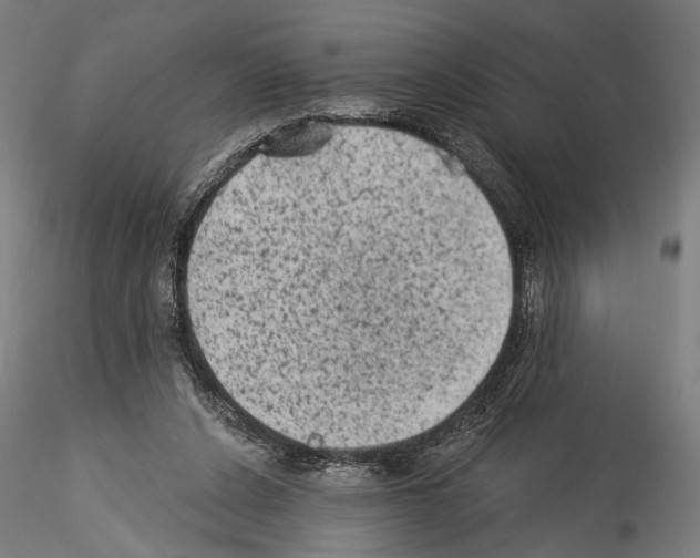 X0000114520256200911301123