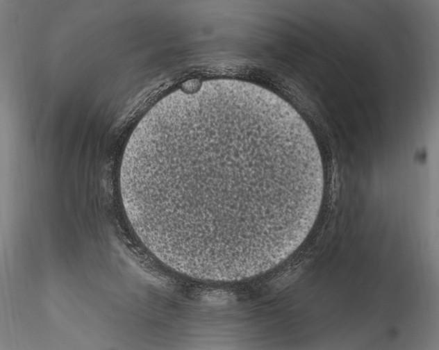 X0000114520258200911301123