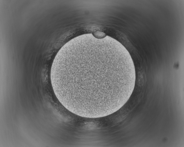 X0000114520259200911301123