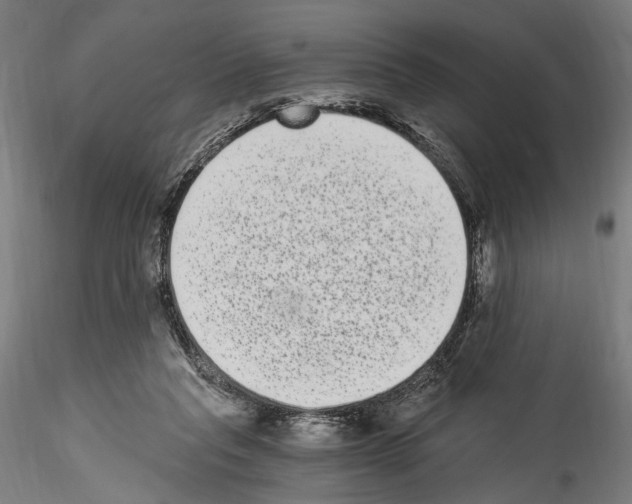 X0000114520261200911301123