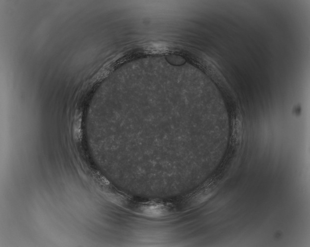 X0000114520267200911301123