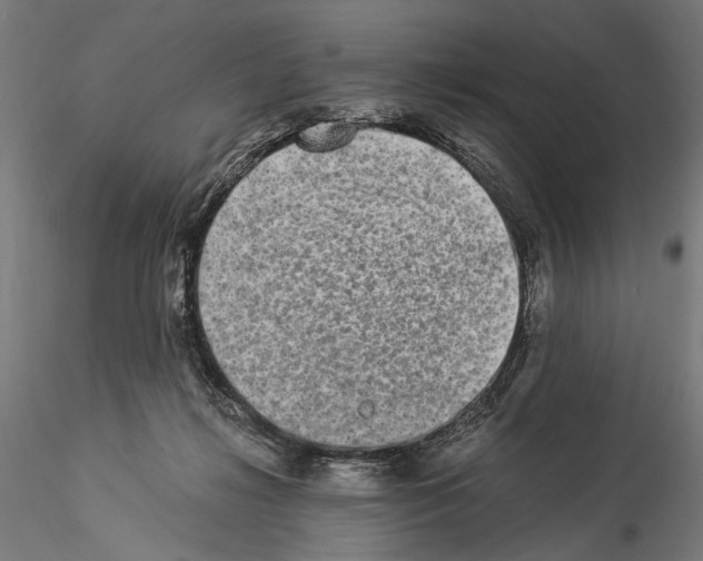 X0000114520268200911301123