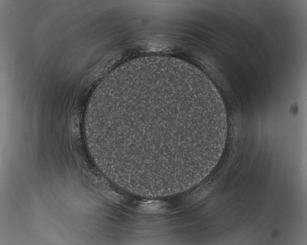 X0000114520269200911301123