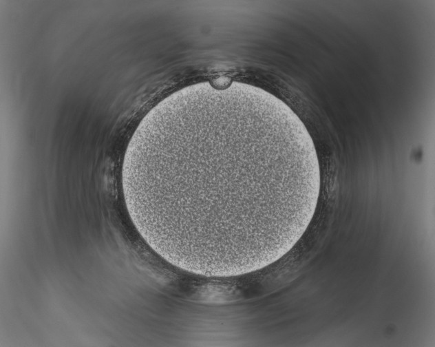 X0000114520270200911301123