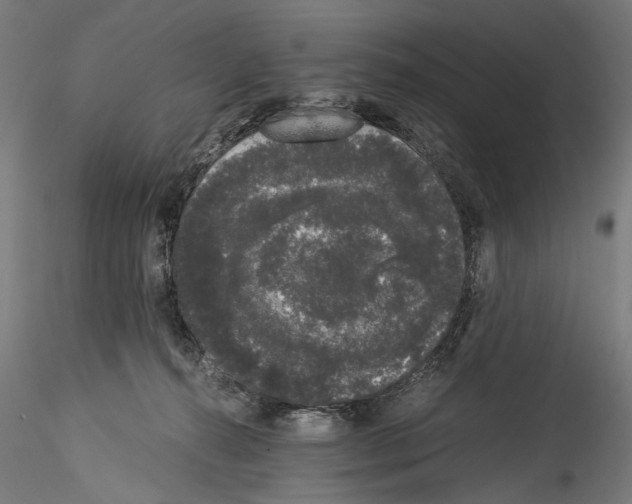 X0000114520272200911301123