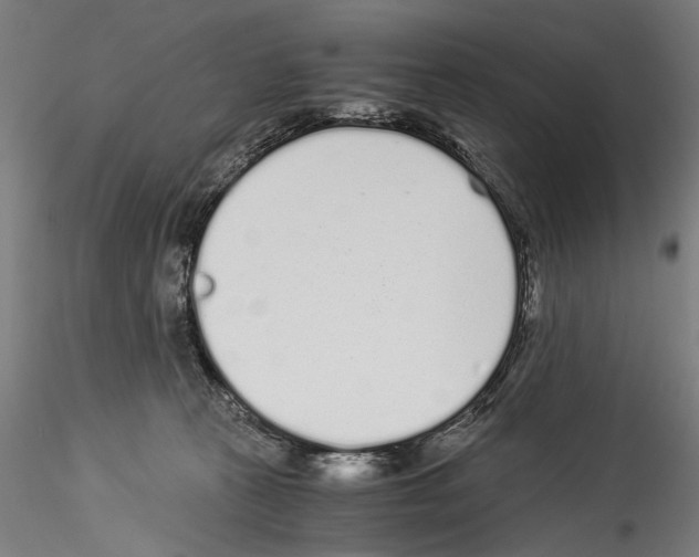 X0000114520273200911301123