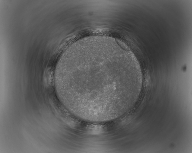 X0000114520276200911301123