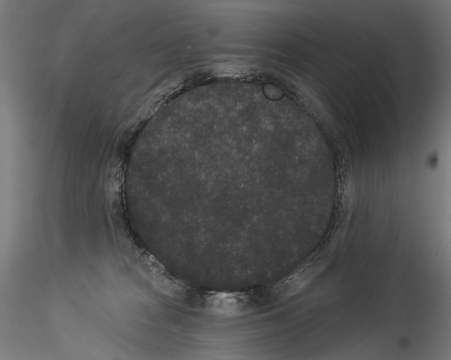 X0000114520277200911301123