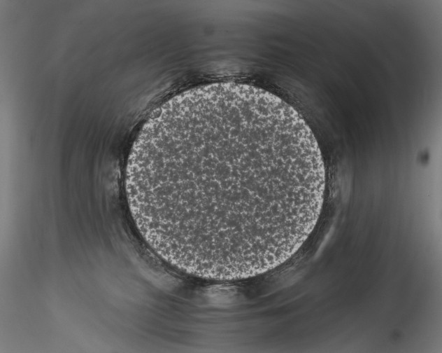 X0000114520279200911301123