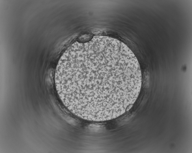 X0000114520280200911301123