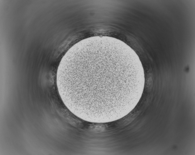 X0000114520282200911301123