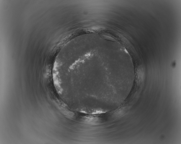 X0000114520284200911301123