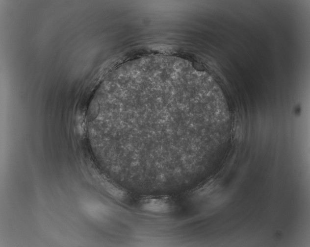 X0000114520285200911301123