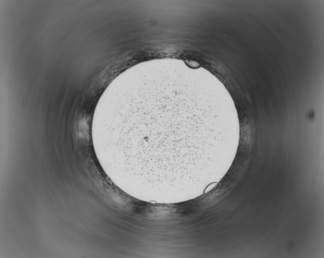 X0000114520286200911301123