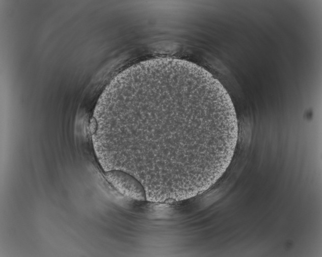 X0000114520287200911301123