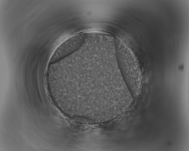 X0000114520289200911301122