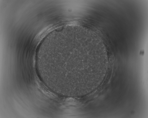 X0000114520290200911301122