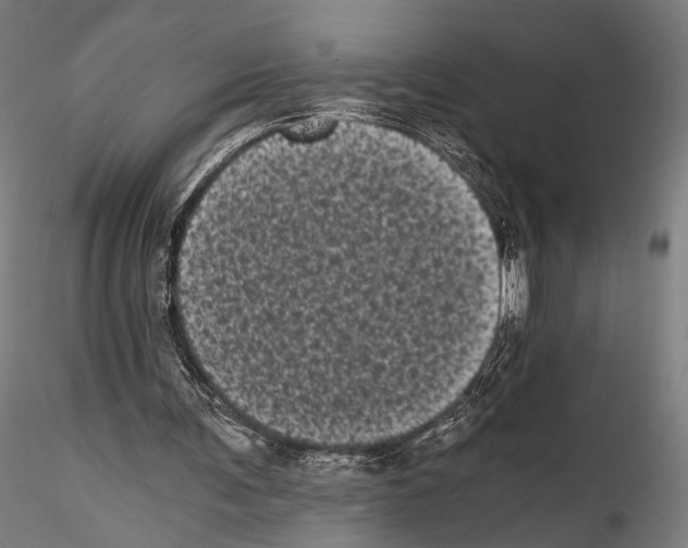 X0000114520291200911301122