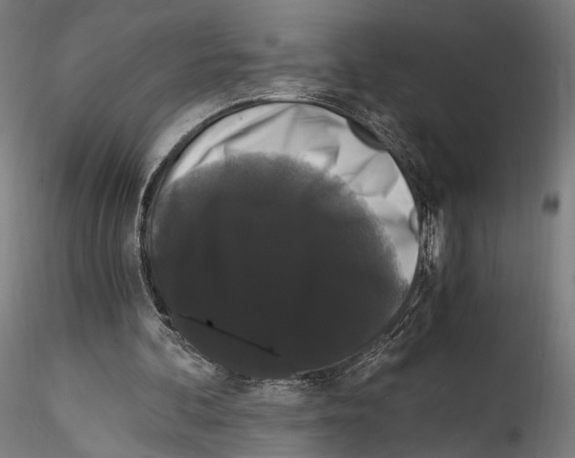 X0000114520292200911301122