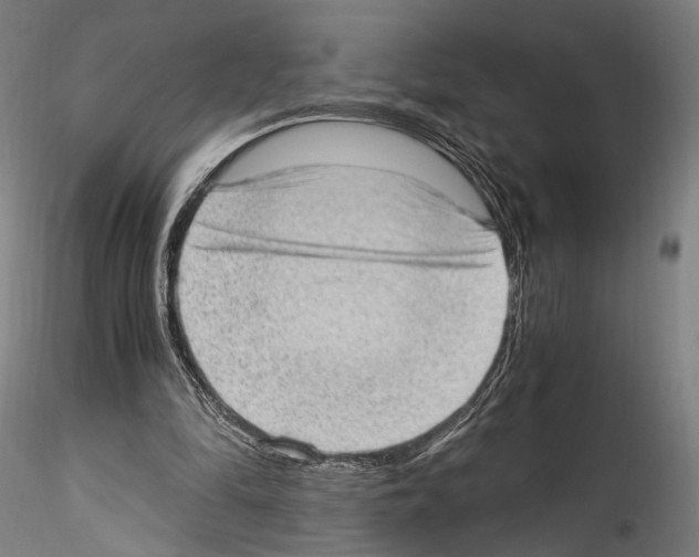 X0000114520294200911301122