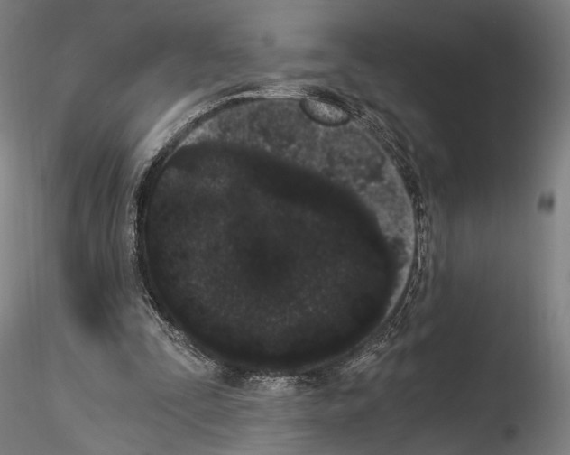 X0000114520295200911301122