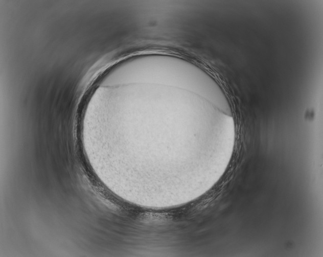 X0000114520296200911301122